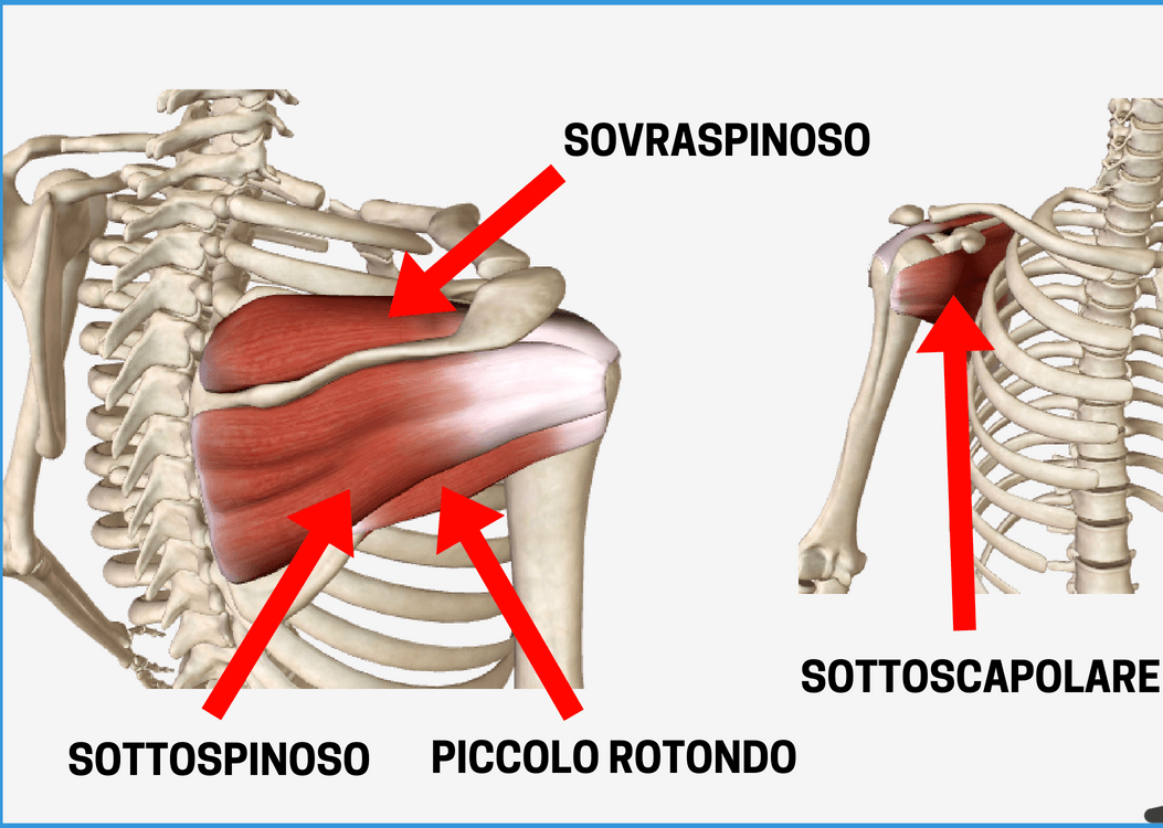 LESIONE ALLA SPALLA MB Therapy